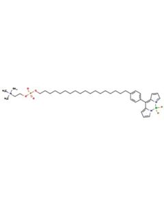 Astatech 5,5-DIFLUORO-10-(4-(18-((OXIDO(2-(TRIMETHYLAMMONIO)ETHOXY)PHOSPHORYL)OXY)OCTADECYL)PHENYL)-5H-DIPYRROLO[1,2-C:2,1-F][1,3,2]DIAZABORININ-4-I